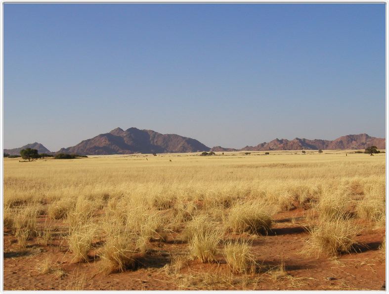 Alentours de Sesriem