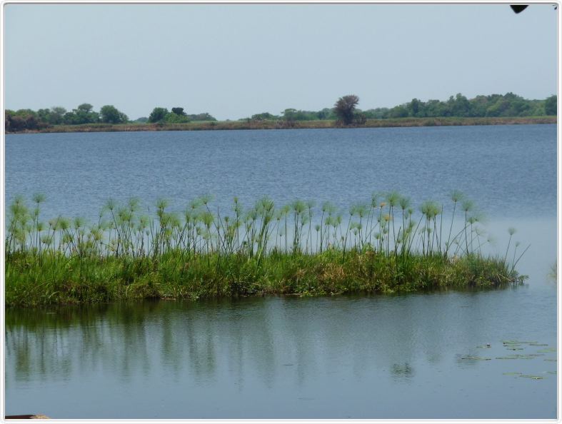 Delta de l'Okavango