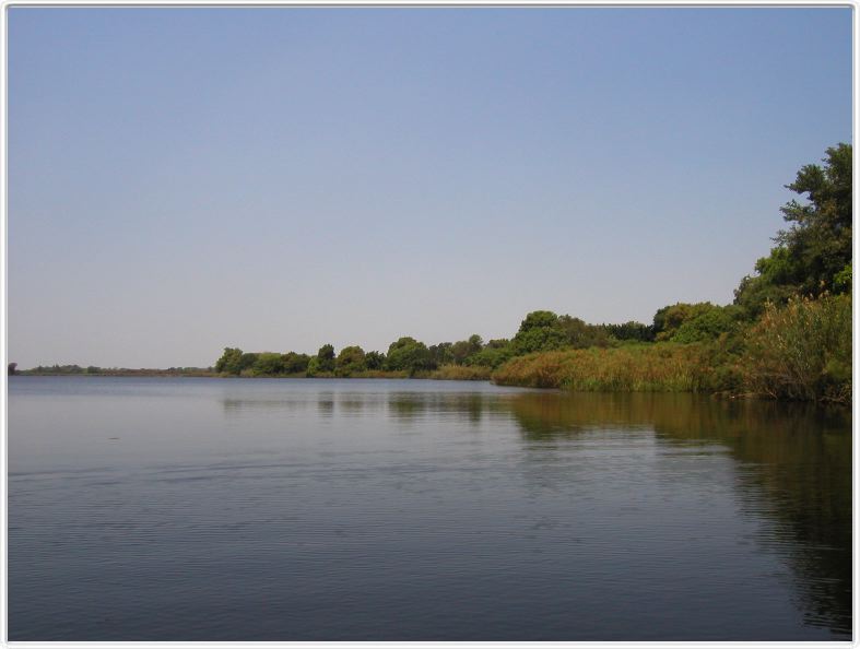 Delta de l'Okavango