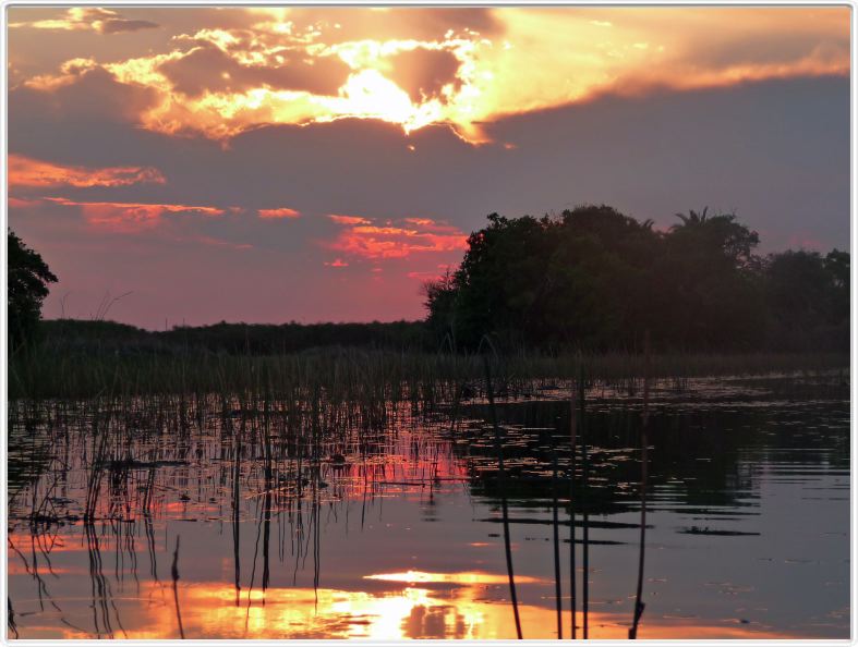 Delta de l'Okavango