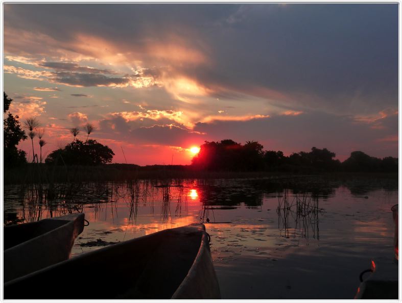 Delta de l'Okavango