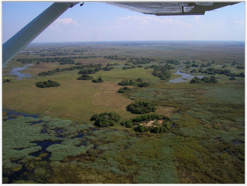 Delta de l'Okavango