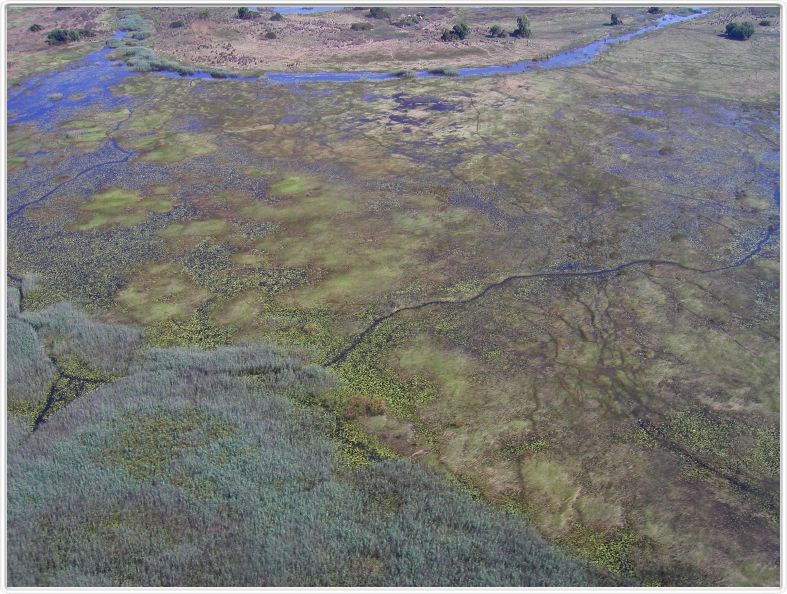Delta de l'Okavango
