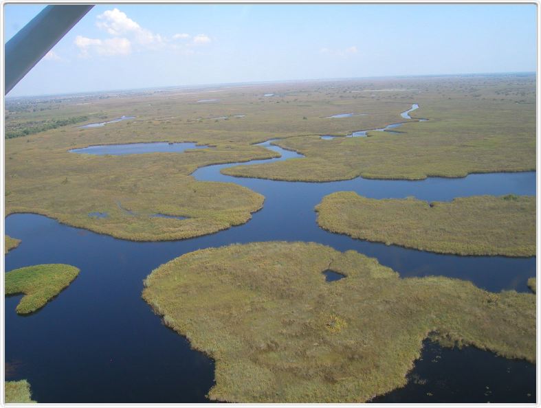Delta de l'Okavango