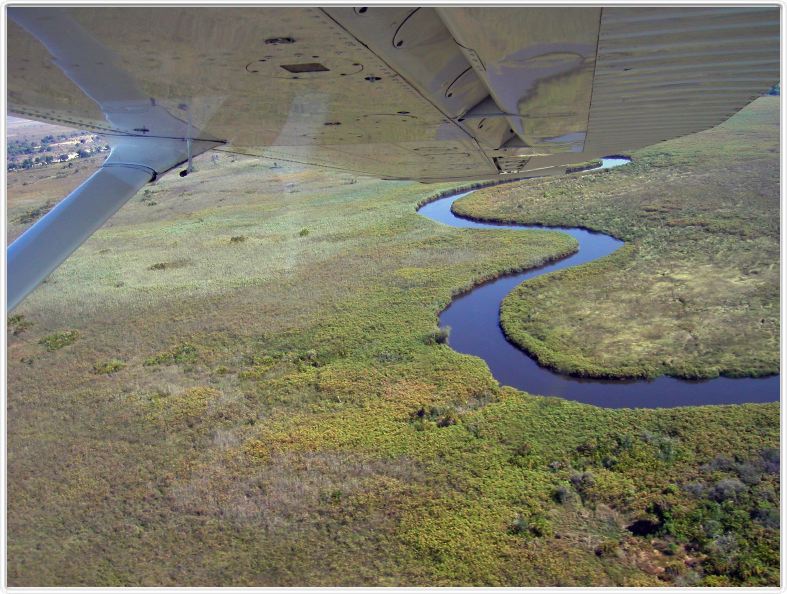 Delta de l'Okavango