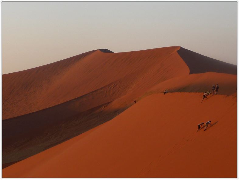 La dune 45