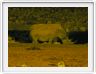 Parc Etosha