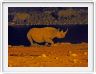 Parc Etosha