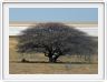 Parc Etosha