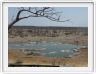Parc Etosha-Halali