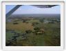 Delta de l'Okavango