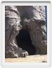 Baobab