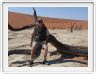 Sossusvlei