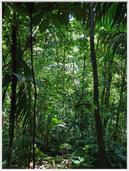 Région de La Fortuna (Costa Rica)