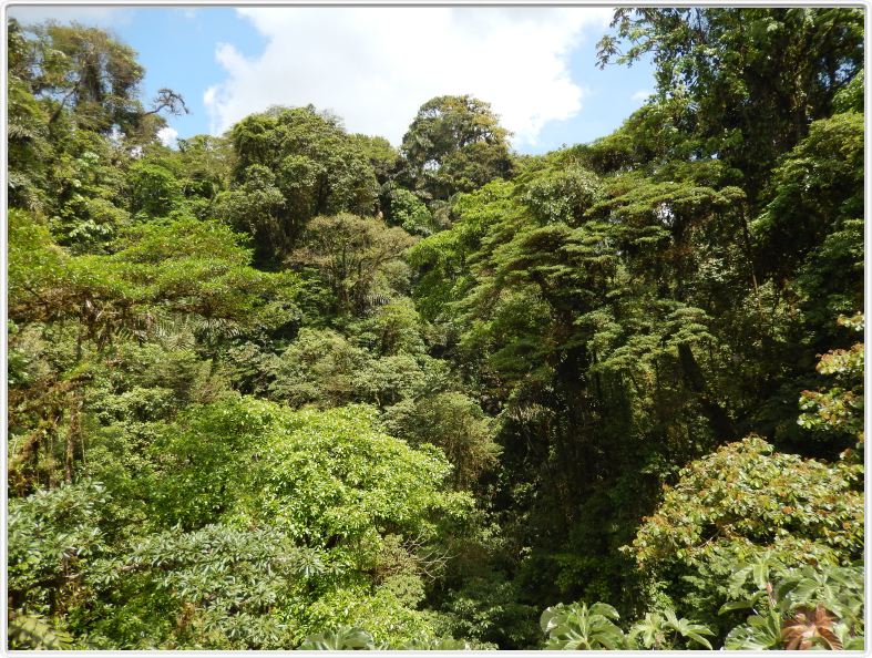 Région de La Fortuna (Costa Rica)