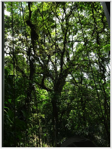 Région de La Fortuna (Costa Rica)