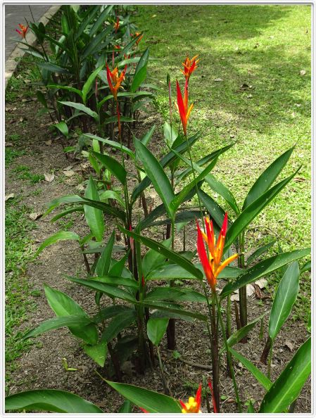 Région de La Fortuna (Costa Rica)