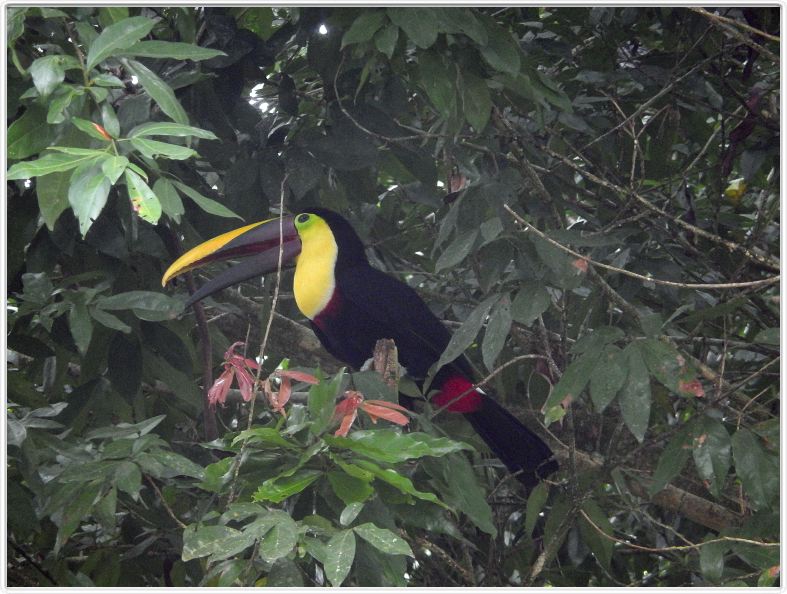 La Fortuna (Costa Rica)