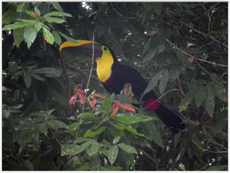 La Fortuna (Costa Rica)