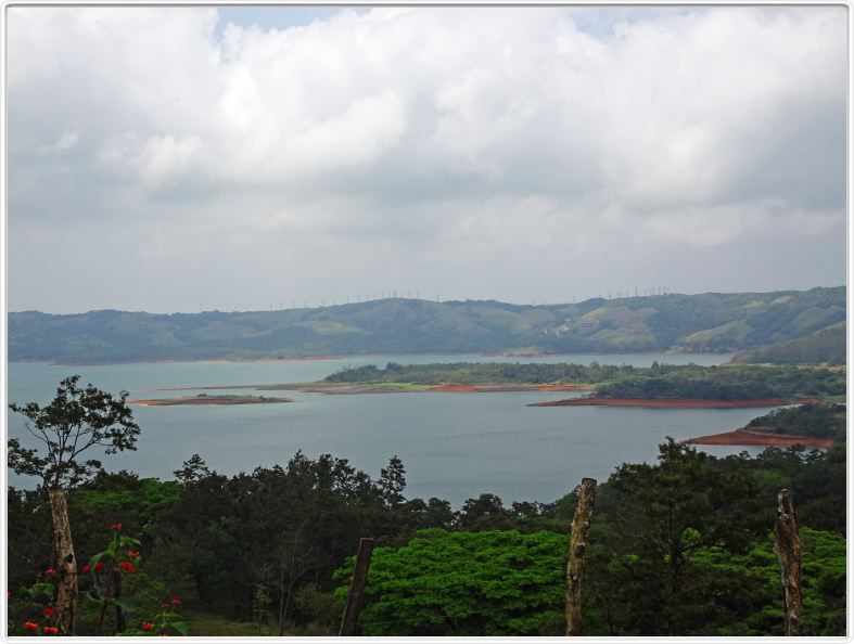 Excursion dans la réserve de Monteverde