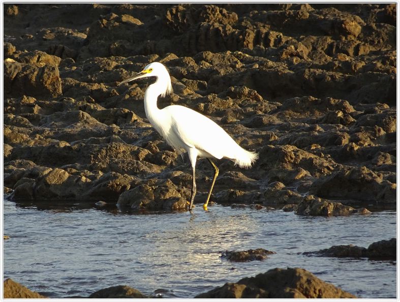 Samara (Costa Rica)