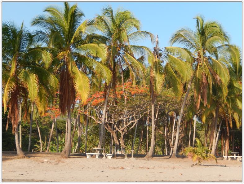 Samara (Costa Rica)
