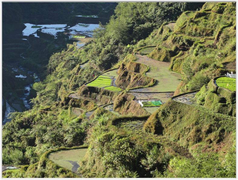 De Banaue à Bontoc