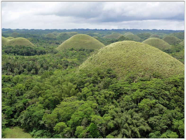 Les collines de chocolat (Ile de Bohol)