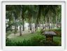 Parc de l'hôtel Bohol Beach Club (Pangalo Island)