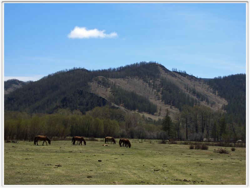La steppe aux alentours du campement