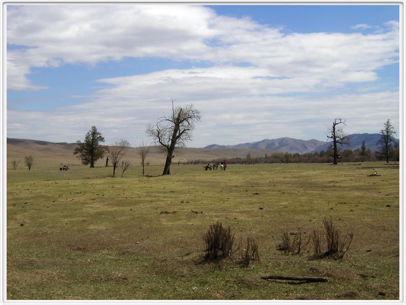 La steppe mongole - 30 mai 2008