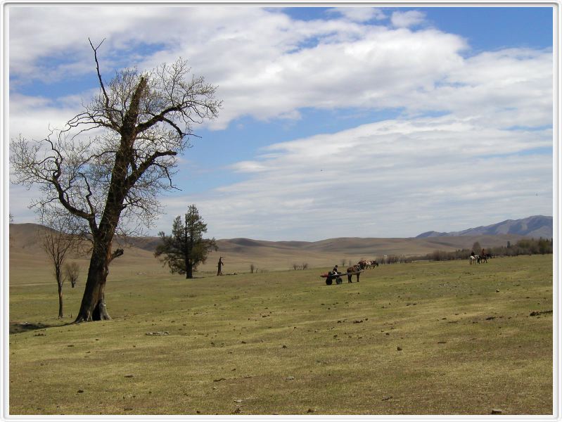 La steppe mongole - 30 mai 2008