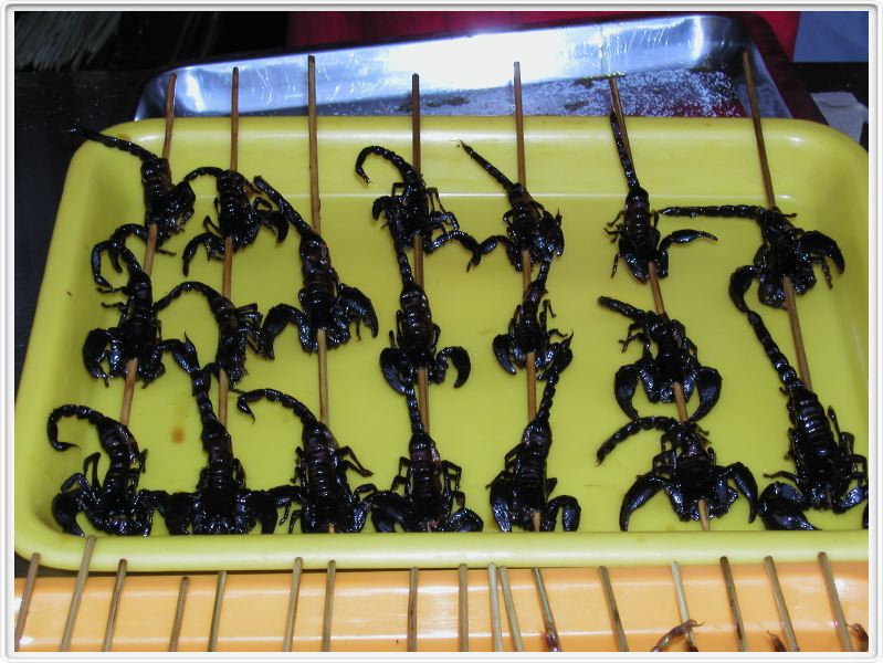 Pékin - Le marché - Scorpions
