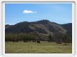 La steppe aux alentours du campement
