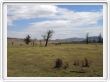 La steppe mongole - 30 mai 2008