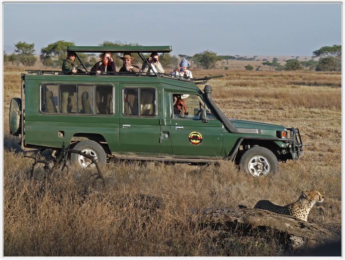 Safari matinal dans la région du Lac Ndutu