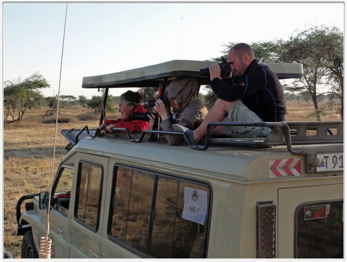 Safari matinal dans la région du Lac Ndutu