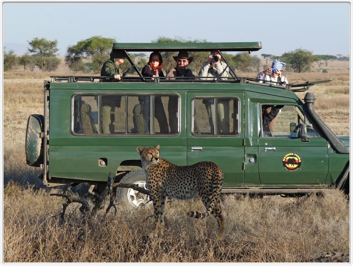 Safari matinal dans la région du Lac Ndutu