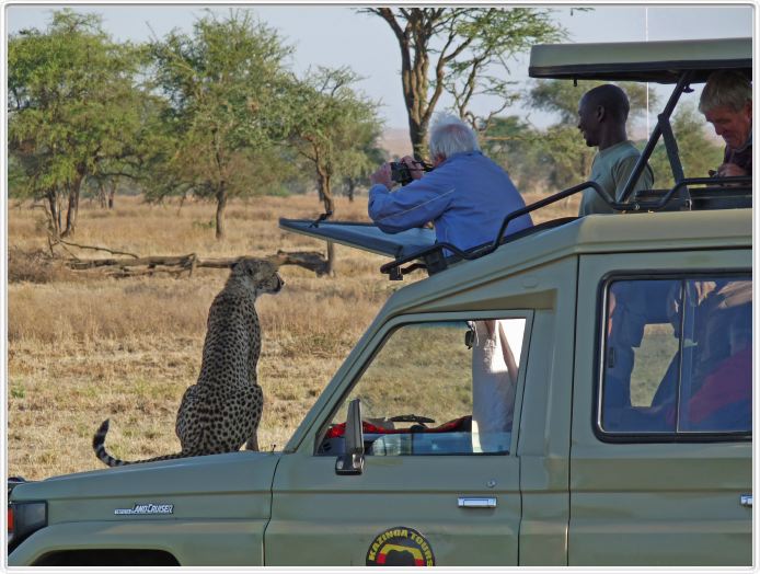 Safari matinal dans la région du Lac Ndutu