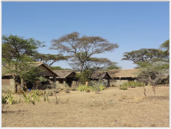 Ndutu Safari Lodge