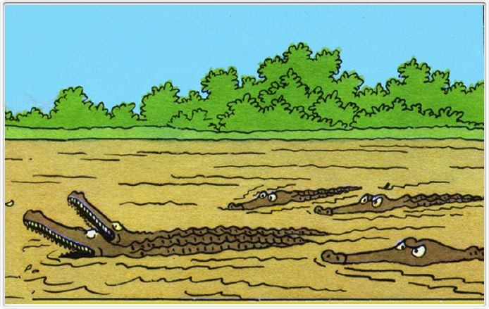 Les crocodiles