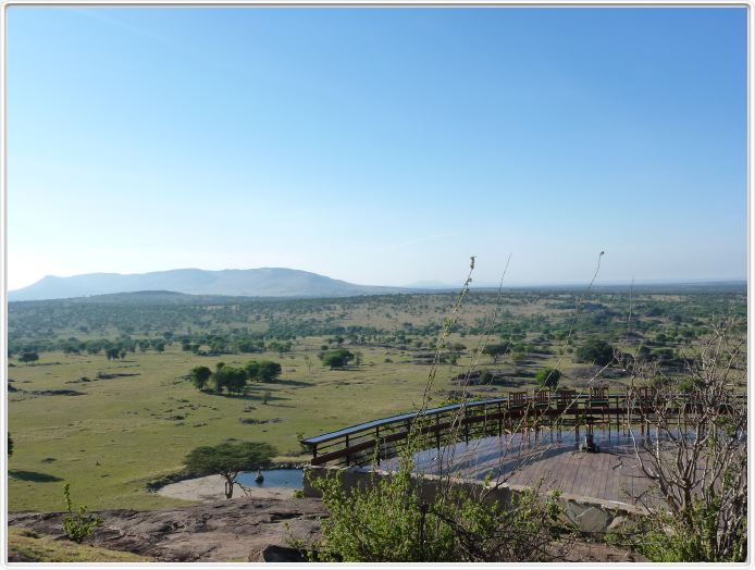 Notre lodge : Lobo wildlife Lodge