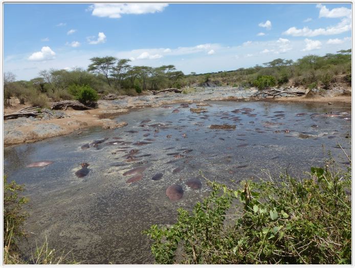 Le Serengeti en direction de Seronera