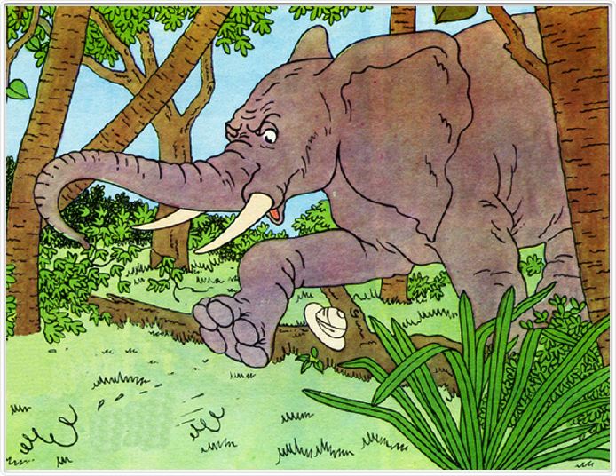 Rencontre avec des éléphants