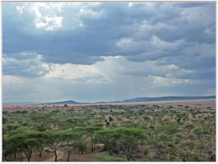 Serengeti. Vue depuis le Seronera Wildlife Lodge