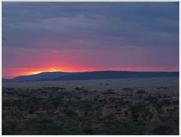 Séjour au Seronera Wildlife Lodge