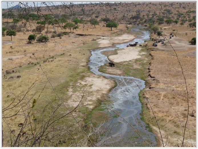 Parc national Tarangire