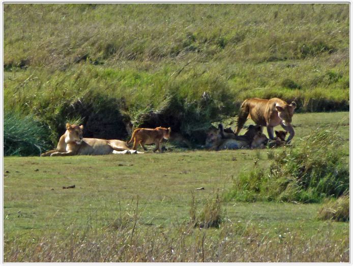 En route pour le Cratère de Ngorongoro