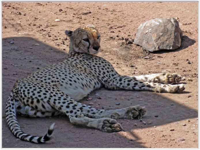 En route pour le Cratère de Ngorongoro