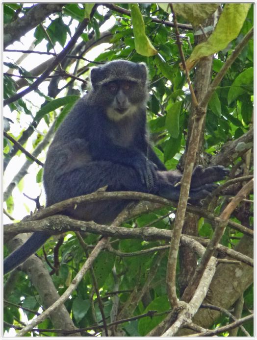 Parc National Arusha